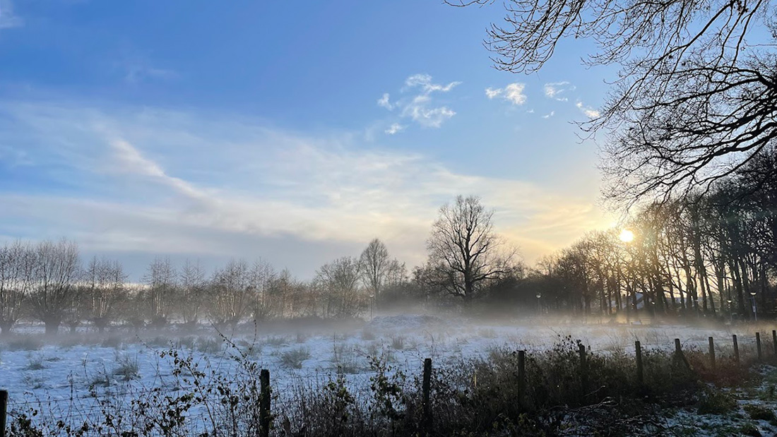 Sneeuwmist in Park Schothorst