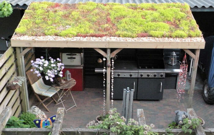 Groene daken buurtinitiatief Buurkracht