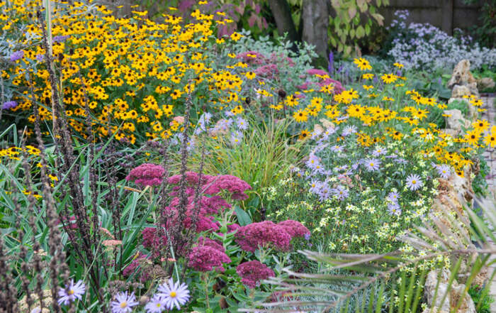 Workshops Amersfoort Rainproof Het Groene Huis