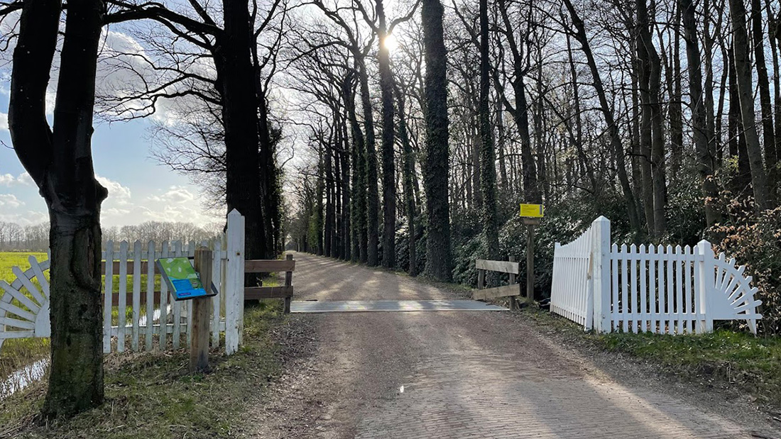 Wandelen op vernieuwde Coelhorsterlaan in Hoogland-West