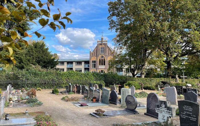 Hooglandse Maatjes over afscheid en stamboomonderzoek