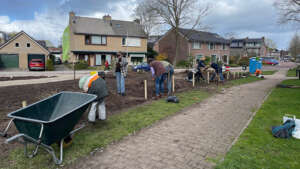 Hooglandse nieuwtjes Natuurtuin Engweg