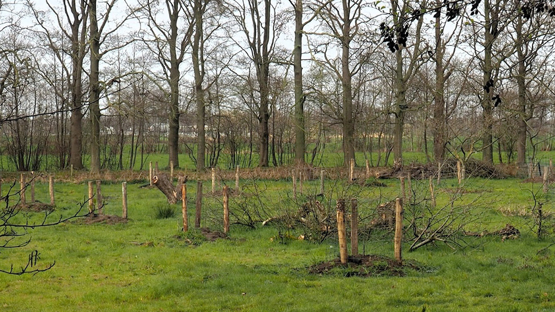 Onrust over rooien boomgaard op Landgoed Coelhorst