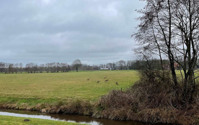 Fietstocht door natuur over duurzaamheid