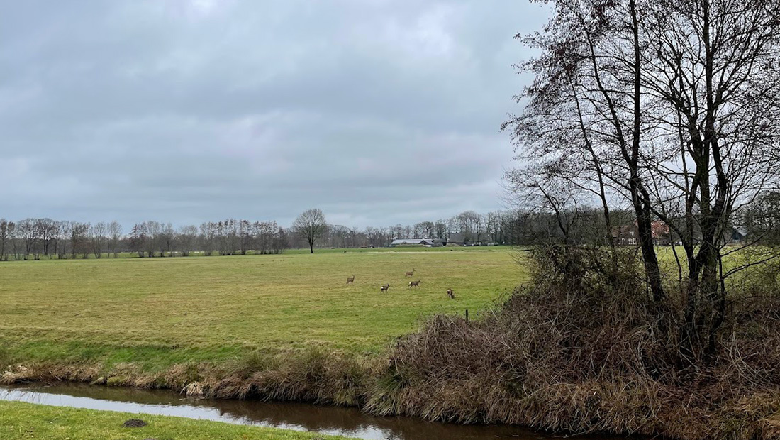 ‘Groene fietstocht’ door natuur in Hoogland en Hoogland-West