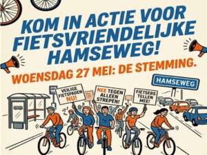 Hamseweg fietsveiligheid Rein Leen
