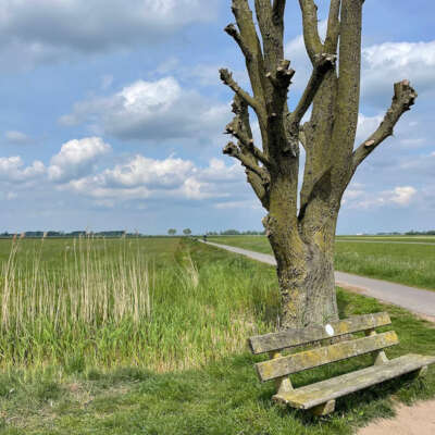 Vogelboulevard rustpunt 1