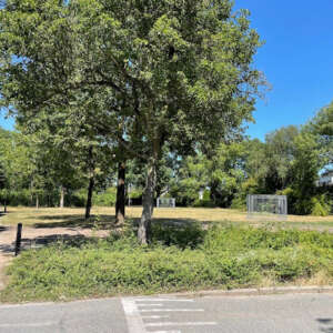 Dakrenovatie Bieshaar-Zuid Overpad Tolick