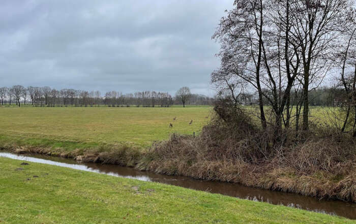 Hoogland-West blijft groen