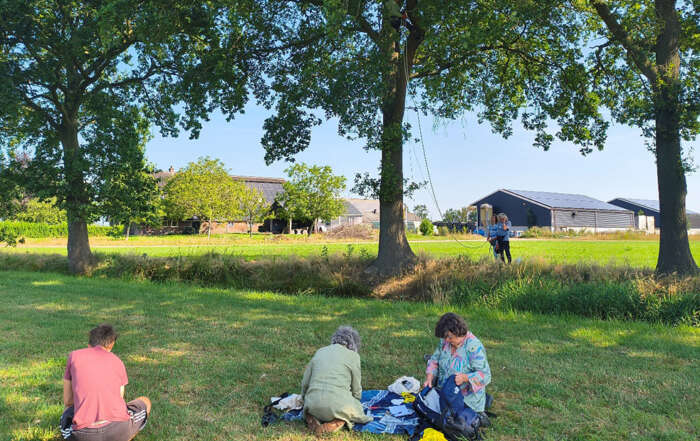 Roofvogel Boomvalk in Hoogland-West