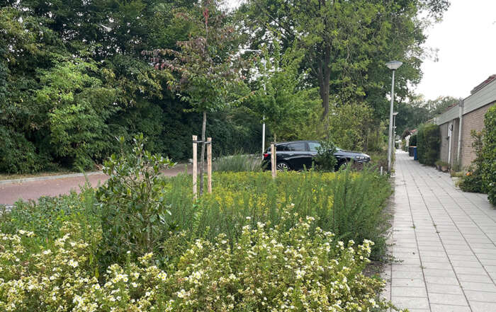 Melding openbaar groen Hoogland