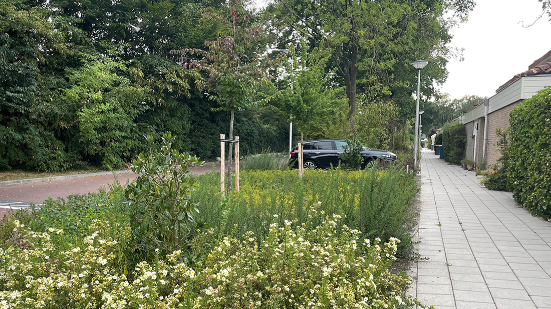 Meld onverzorgd groen bij de gemeente