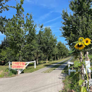 Kort Hooglands nieuws Camping Coelhorst
